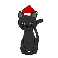 圣诞老人cosplay的黑猫