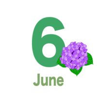 June (hydrangea)