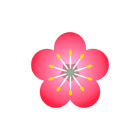 pale plum blossom