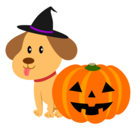 Cute dog and Halloween pumpkin