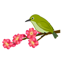 Plum blossom and warbler