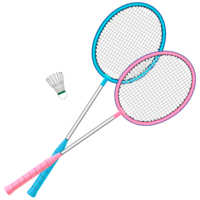 Badminto wings and racket