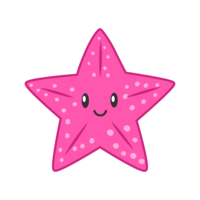 Cute pink starfish