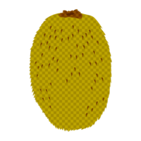Kiwifruit (check pattern)