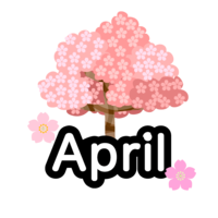 桜の4月(英語)