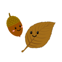 Cute acorn and fallen leaf character