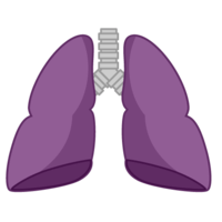 不健康な肺