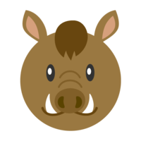 Face of wild boar character