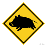 Danger of wild boar popping out