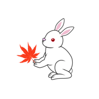 Autumn leaves and white rabbit