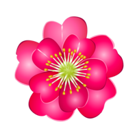 山茶花の花