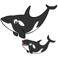 Parent and child killer whale character