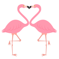 Flamingo with a pale heart