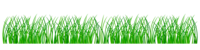 Overgrown grass line