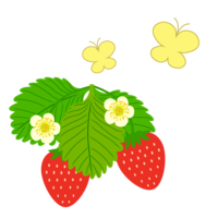 蝴蝶和草莓
