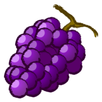 粗糙的葡萄