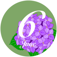 圆形紫阳花和6月文字