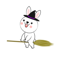 Rabbit flying in the sky with a broom