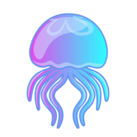 Beautiful swimming jellyfish