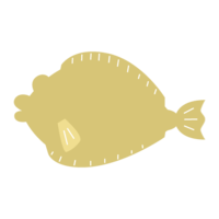 Simple flatfish