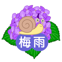 Hydrangea and snail rainy season