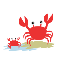 Parent and child crab