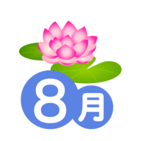 August of water lily