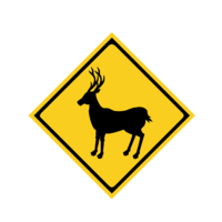 Deer caution sign