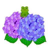 Frog and hydrangea flower