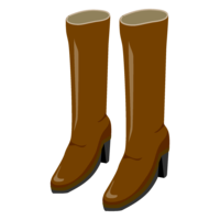 Brown long boots