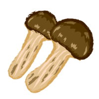 Rough touch matsutake mushroom