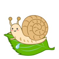 叶子蜗牛