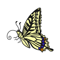 Papilio machaon (horizontal)