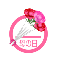 康乃馨花束母亲节图标