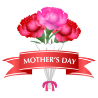 母亲节丝带和康乃馨花束