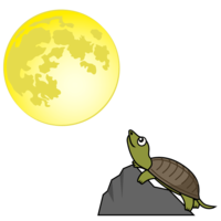 Moon and soft-shelled turtle