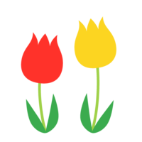 Cute red and yellow tulips