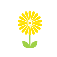黄色の野花
