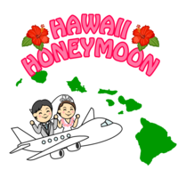Wedding couple in Hawaii