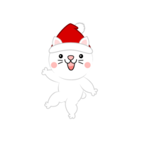 Santa hat cat