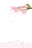 Message card of cherry blossoms and warblers
