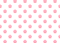 Cherry blossom pattern wallpaper