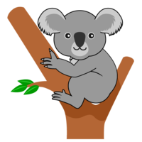 Koala of wood