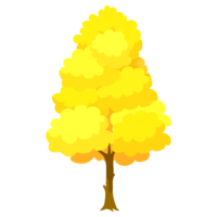 Ginkgo tree
