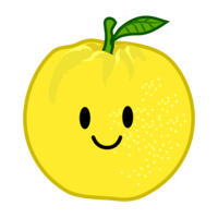 Cute grapefruit character