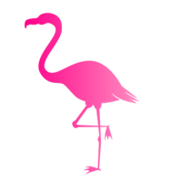 Pink silhouette of flamingo