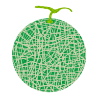 Melon (check pattern)