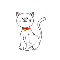 可愛い白い猫