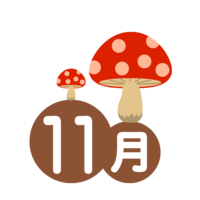 November of mushrooms