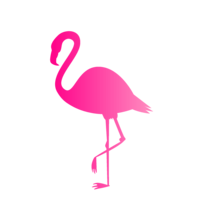 Pink silhouette of standing flamingo